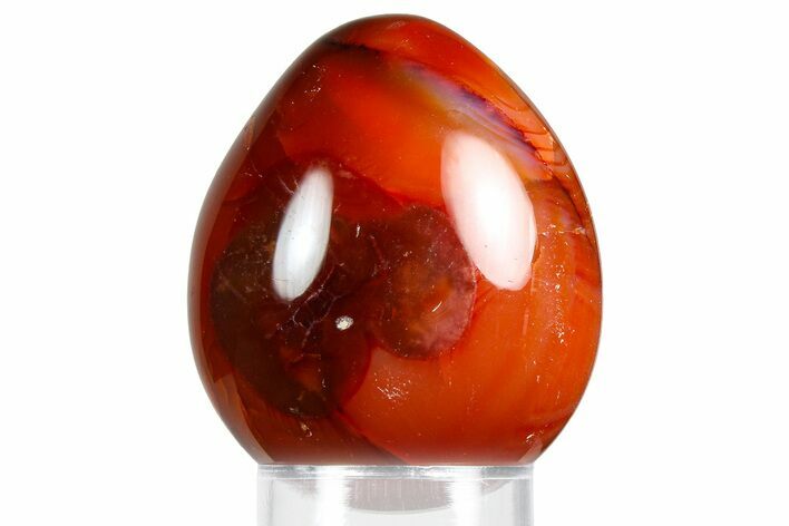 Vibrant Polished Carnelian Agate Egg - Madagascar #355523